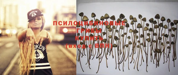 стаф Алексин