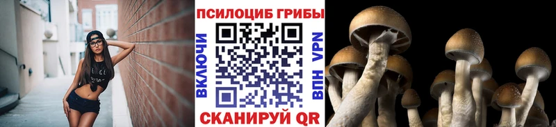 Галлюциногенные грибы мицелий мега Набережные Челны